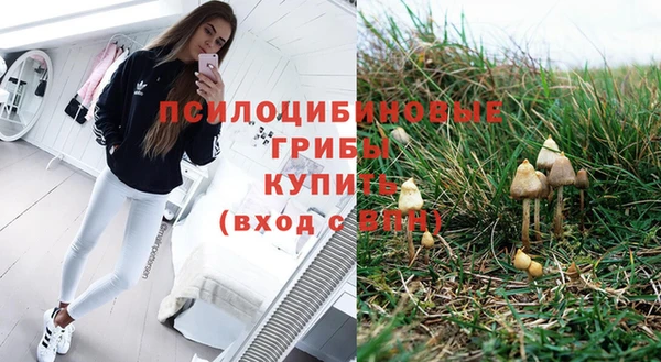 МДПВ Алексеевка