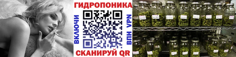 Шишки марихуана марихуана  KRAKEN вход  Карабаш 
